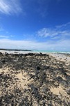 IMG_1480