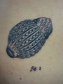 57 Amazing Scientific tattoos Seen On www.coolpicturegallery.net