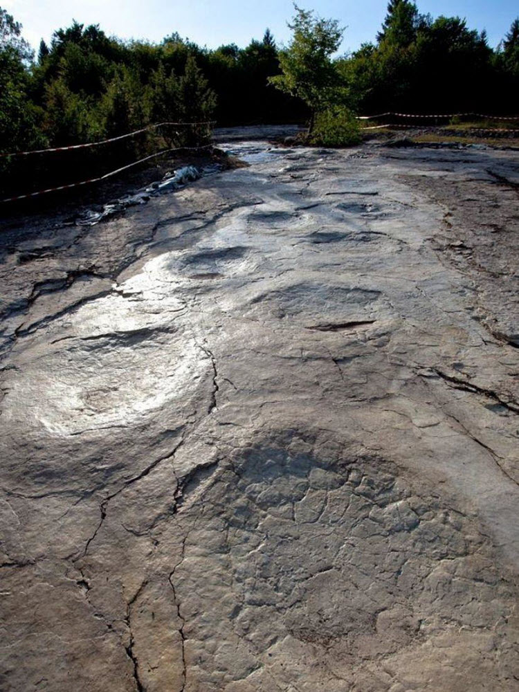 World’s Longest Dinosaur Trackway