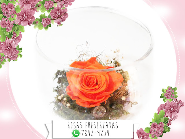 Centros de Mesa con Rosas Preservadas Arreglos Decoración Manualidades