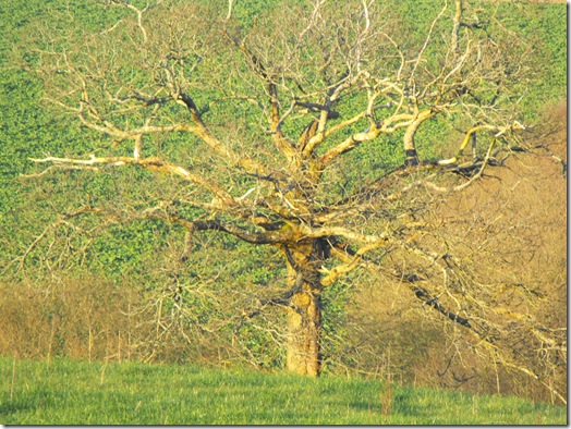 2009_121313decembre20090130