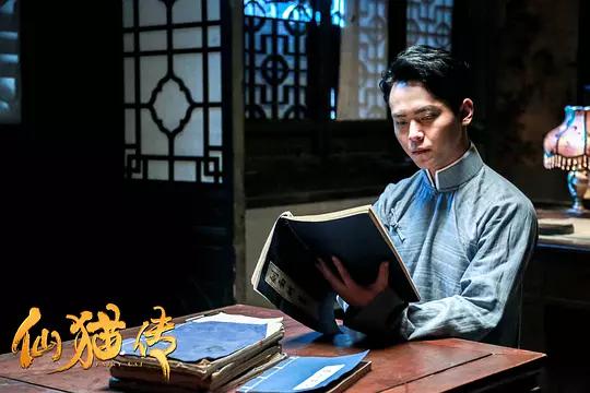 Fairy Cat China Movie