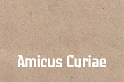 Mengenal Apa Itu Amicus Curiae