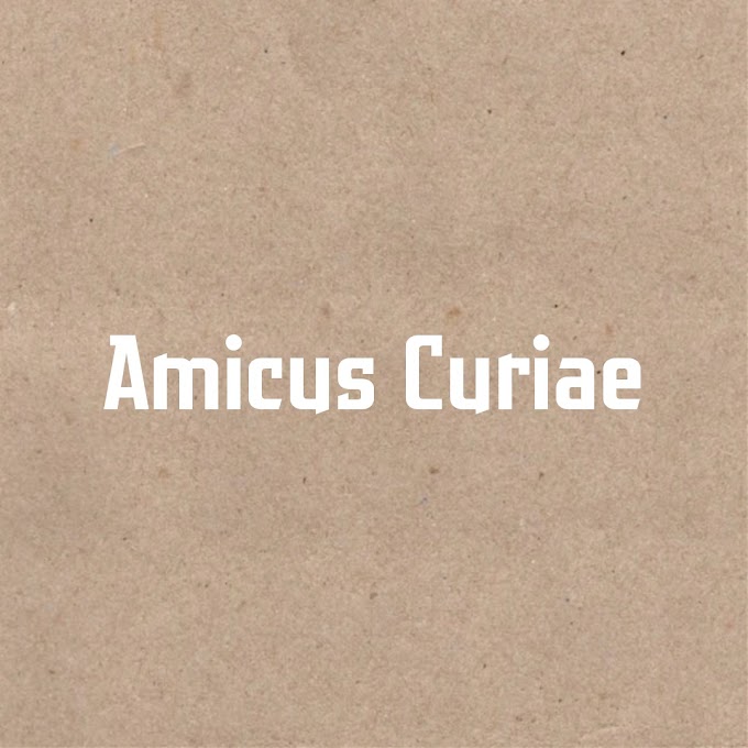 Mengenal Apa Itu Amicus Curiae