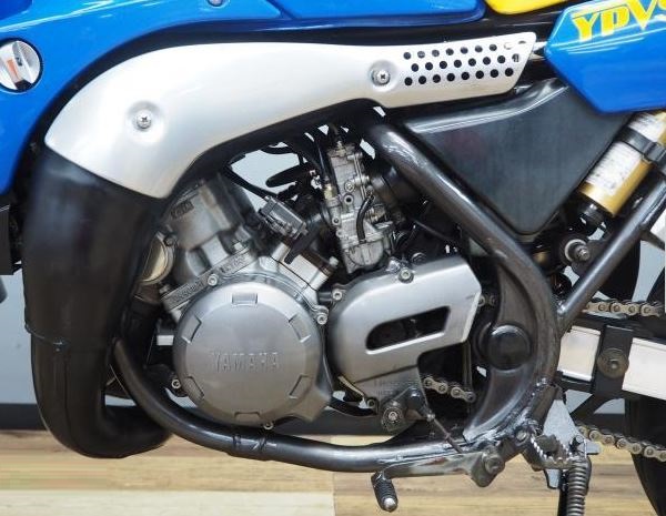 Yamaha TDR 250 engine photo