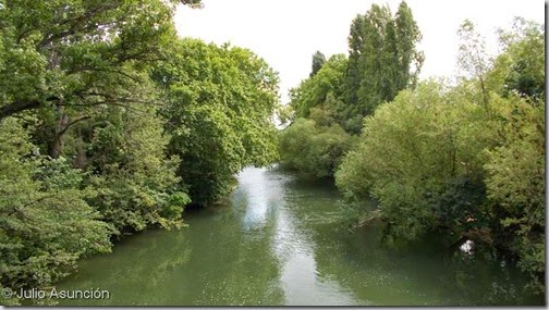Río Arga a su paso por el parque Arantzadi - Pamplona