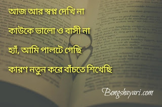 Sad quotes in bengali, bangla sad quotes, bangla sad quotes about life, bangla sad quotes about love