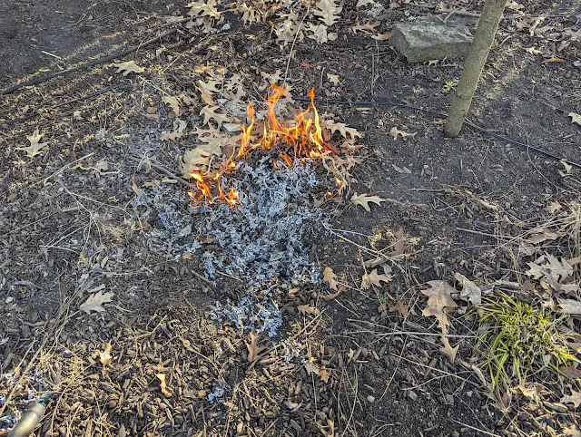 Prescribed Burn In Perennial Garden Bed - Zone 6A