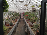 New Orleans Botanical Garden Plant Sale