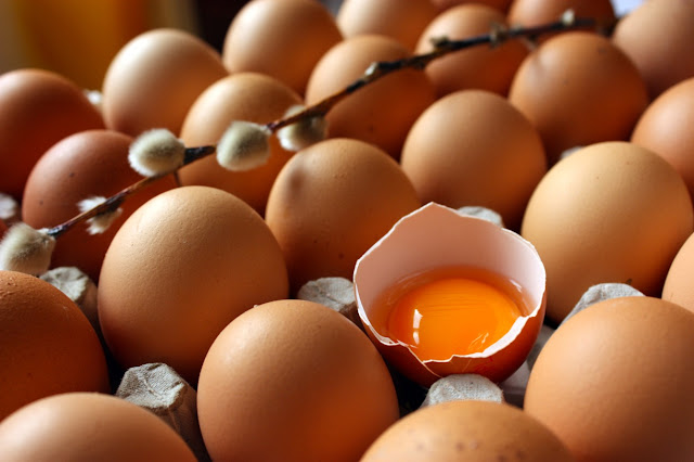 Egg Processing