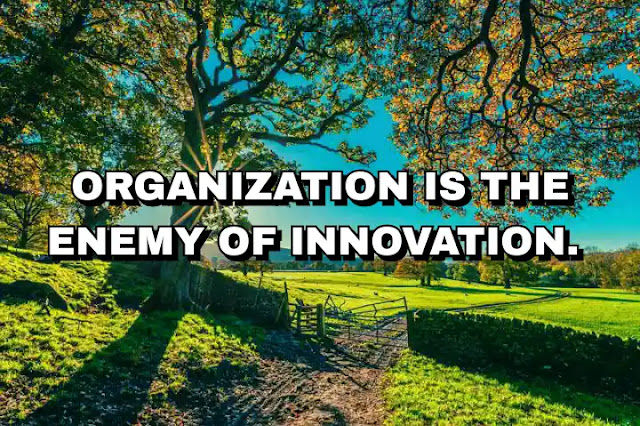 Organization is the enemy of innovation.
