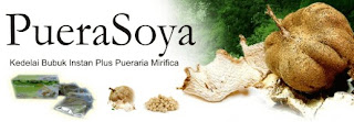 Puera Soya