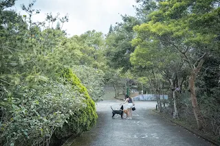 大武曼陀山景觀農園|麻糬泡腳海景放空一次搞定