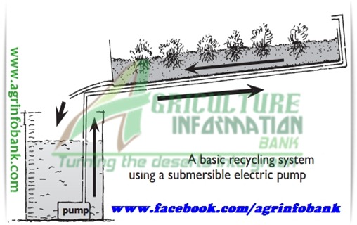 Hydroponics5