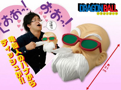 Turtle Shan- Roshi, master of