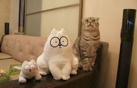 Funny cats - part 87 (40 pics + 10 gifs), cat sits next to Simon's Cat toys