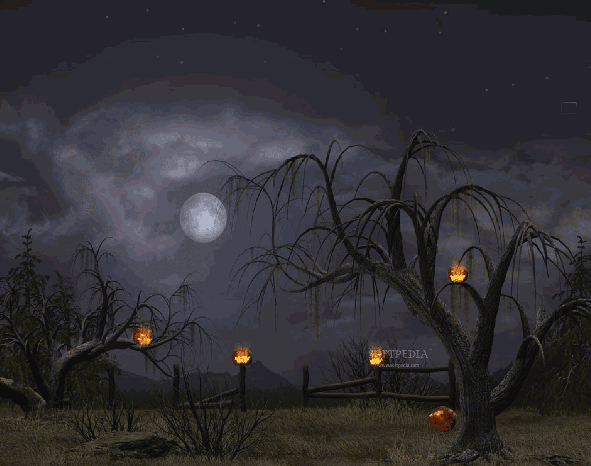 Halloween Wallpaper HD