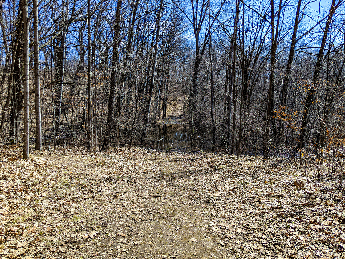 New Fane Hiking Trails