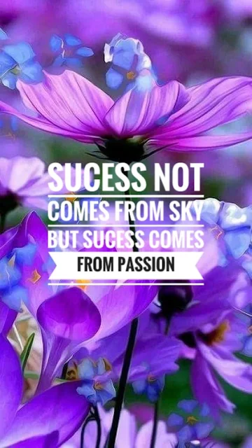 Passion quotes 