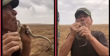 Snake swallower dies after viper bites his tongue during stunt causing fatal allergic reaction