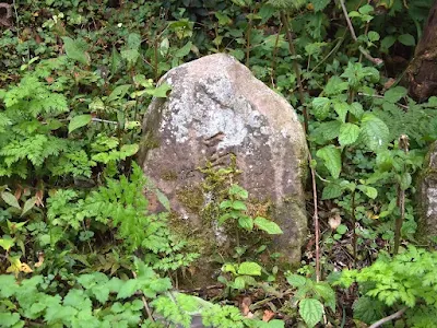 日野郡日南町の牛馬供養塔 丸山 法導寺の自然石「馬頭観音」
