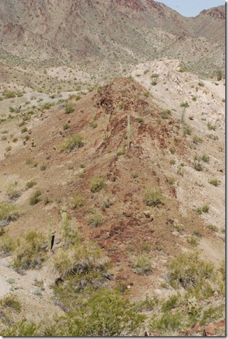 03-07-13 B Quinn Pass Quartzsite 022