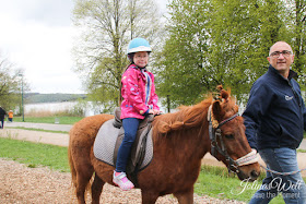 Kinderbauernhof im Center Parcs Bostalsee Ponyreiten