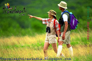 Travel Services India