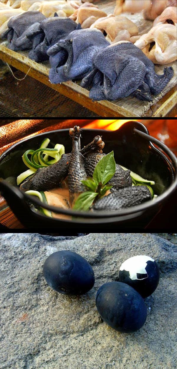 Blog Serius: Serius Cool - Ayam Cemani : Ayam Yang Hitam Dari Bulu