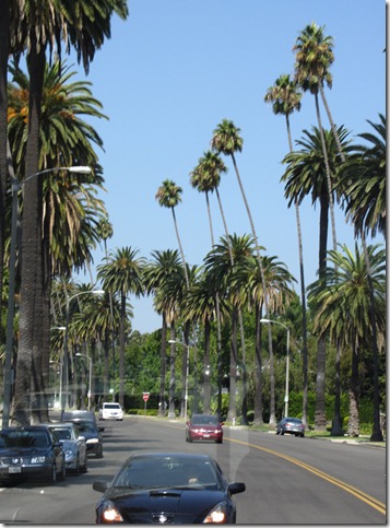 Day 2 Cali Vacay - LA tour 028