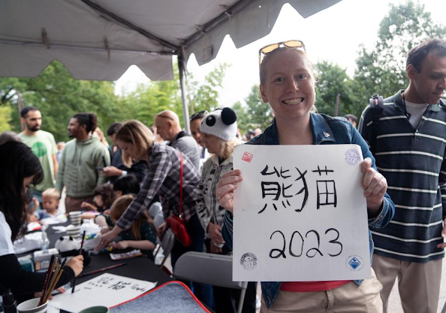 Chinese culture popular worldwide at the end of 2023-4-lacecat