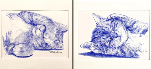 00-Cat-Drawings-Hisao-Fujishige-www-designstack-co