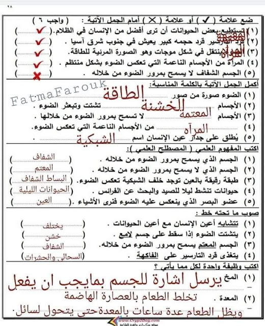 امتحان العلوم للصف الرابع الابتدائي