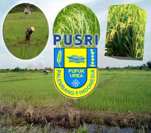 http://lokerspot.blogspot.com/2012/02/recruitment-pt-pupuk-sriwidjaja.html