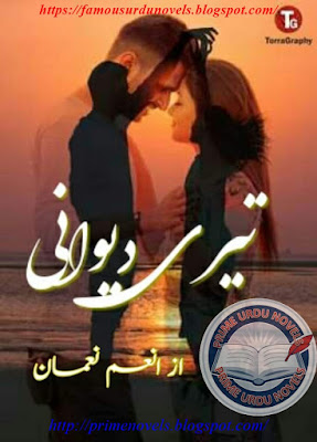 Teri deewani novel pdf by Anum Nouman Episode 1 to 17