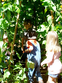 anna smith children park WSU learning garden 