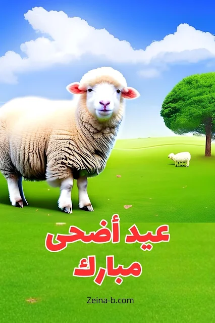 عيد أضحي مبارك، صور خرفان العيد