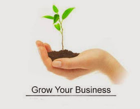 business growth