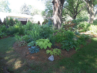 Finished lasagna flower bed