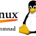 50 Most Frequently Used UNIX / Linux Commands (With Examples)