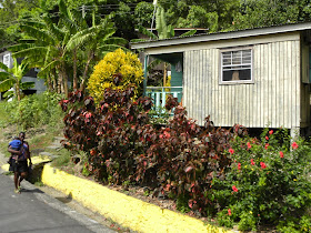 General Impressions St. Lucia