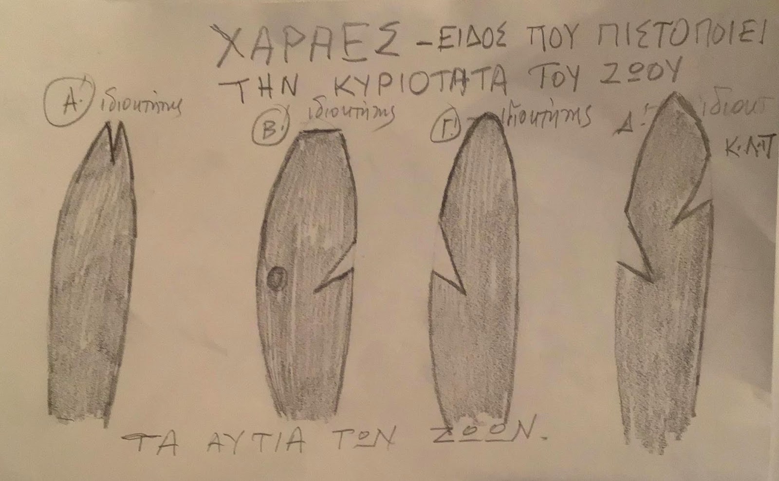 ΧΑΡΑΪ