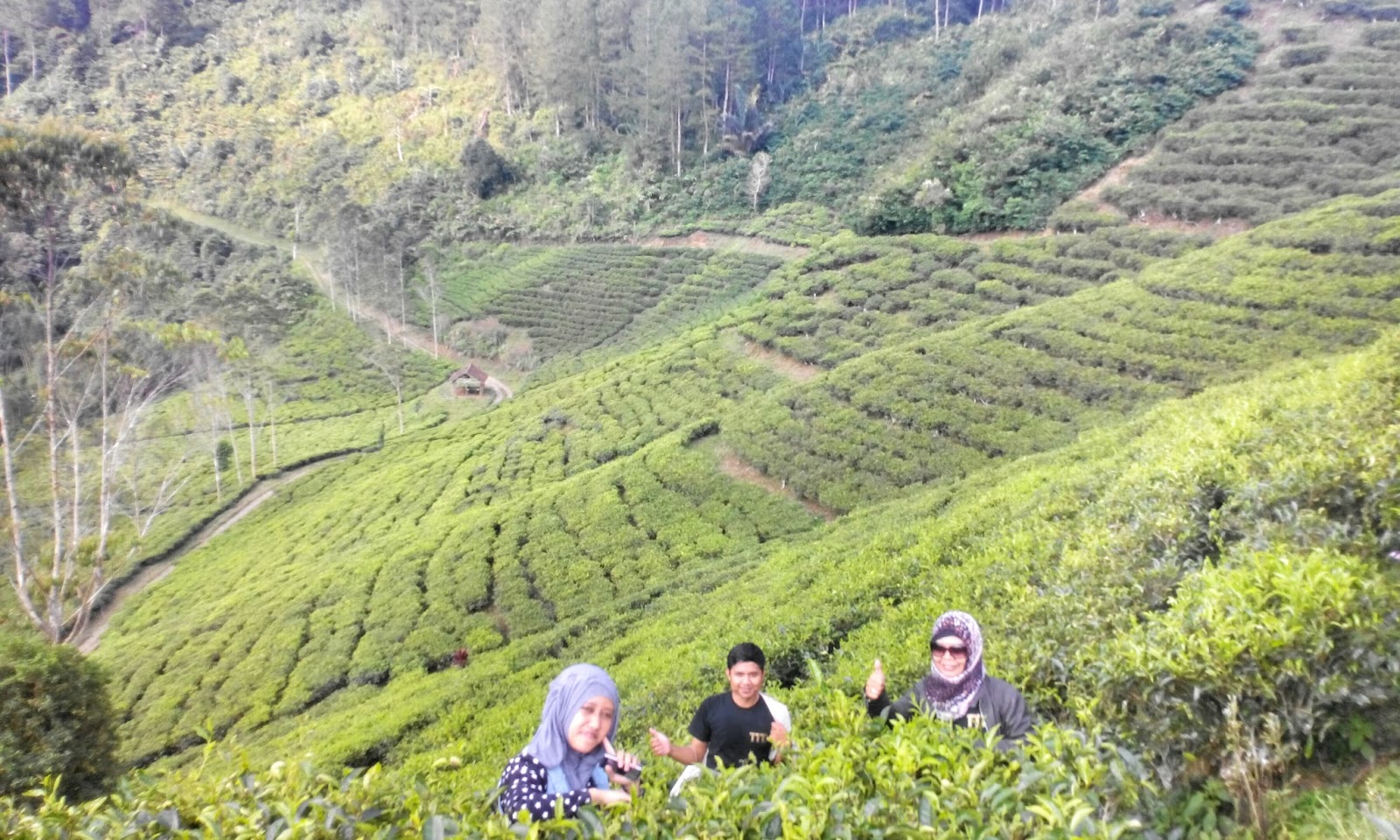 Jual Gng On Instagram Termurah 2018 Naturalblueresourcescom