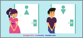 Color sketch of a man and a woman emphasizing Urinary Problems.