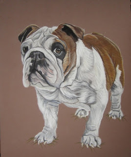 bulldog pastels