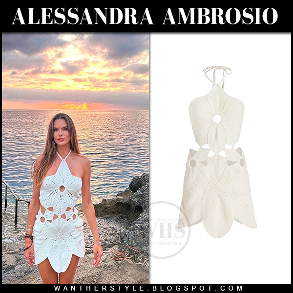 Alessandra Ambrosio in white cutout knit dress