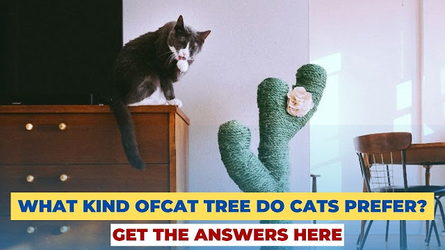 What Kind of Cat Tree Do Cats Prefer? Get the Answers Here