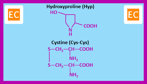 Hydroxyproline Cystine