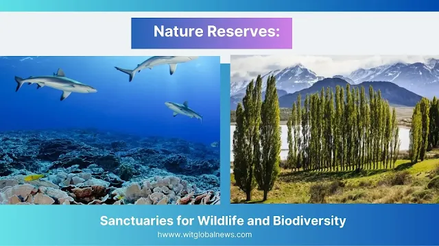 nature preserves, nature reserves, wildlife conservation, wildlife preservation, the wild life animals, wildlife reserves, wildlife protection, protected areas, nature protection