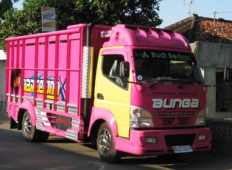 truk modifikasi sakera CANTER PINK